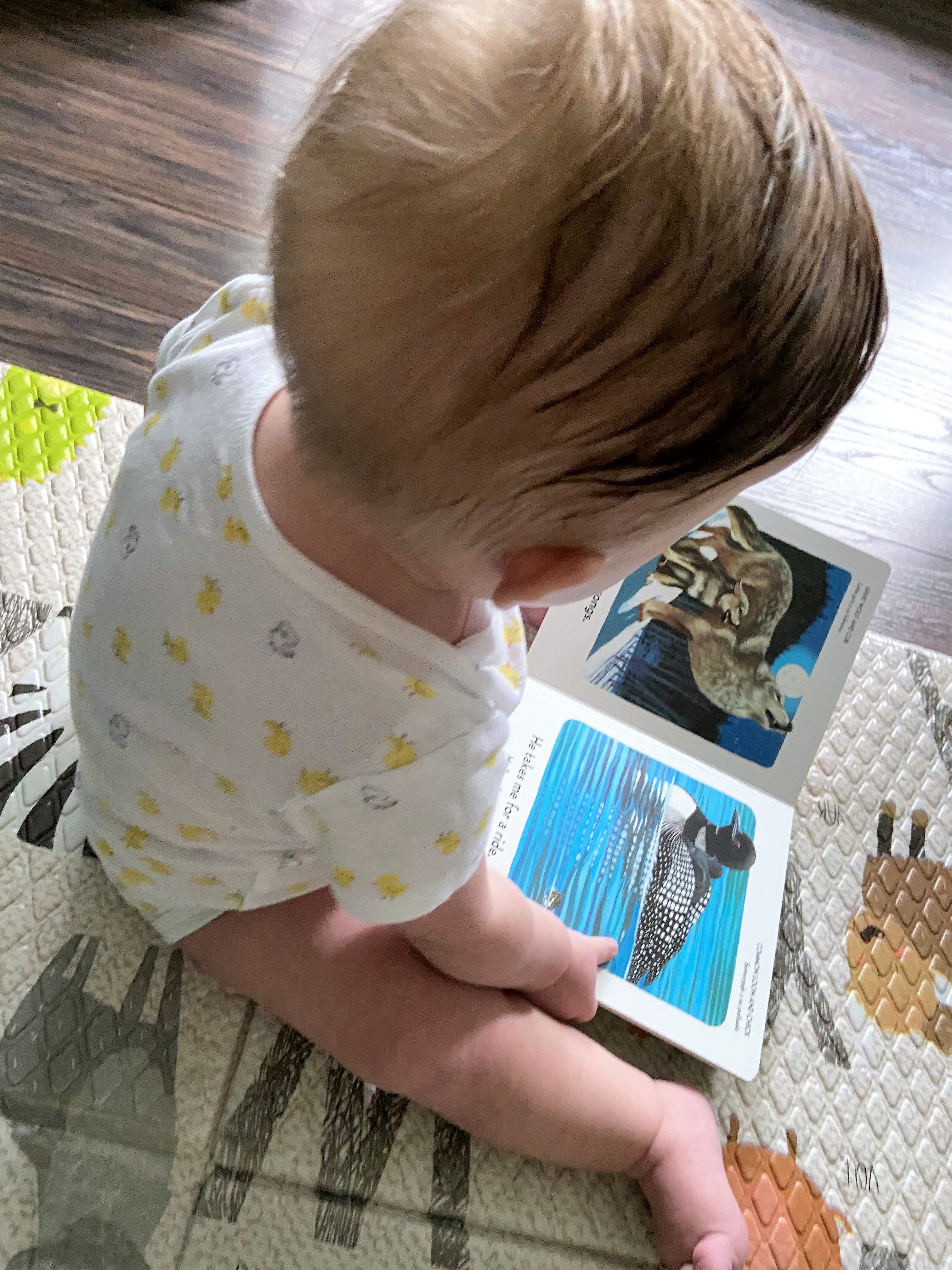 baby reading